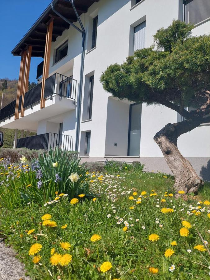 Alpa Appartement *
