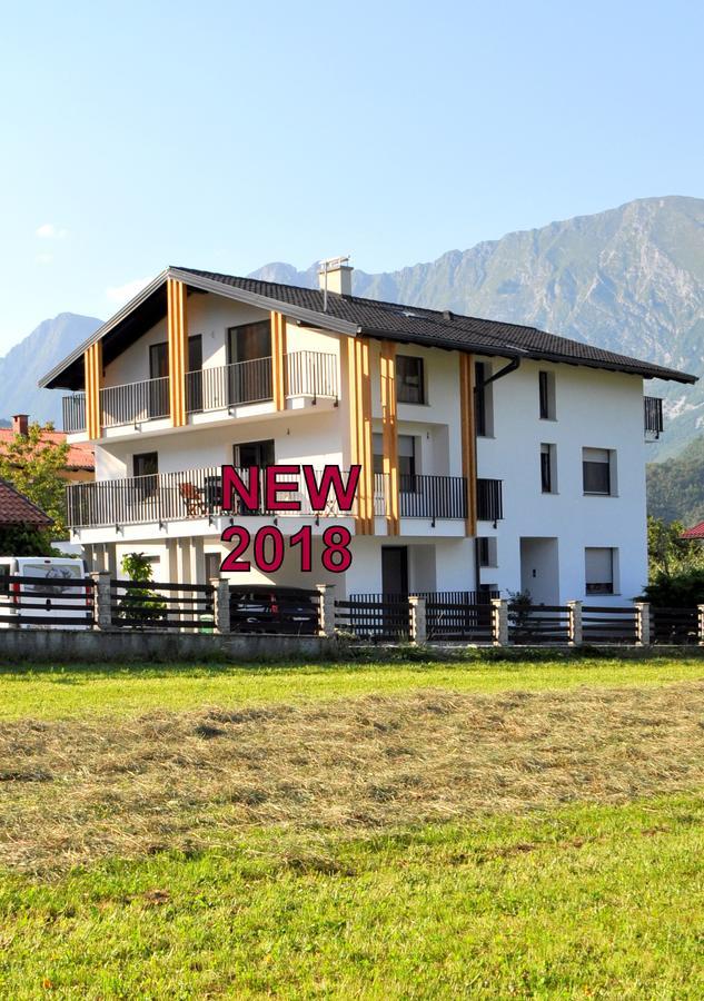 Alpa Apartment