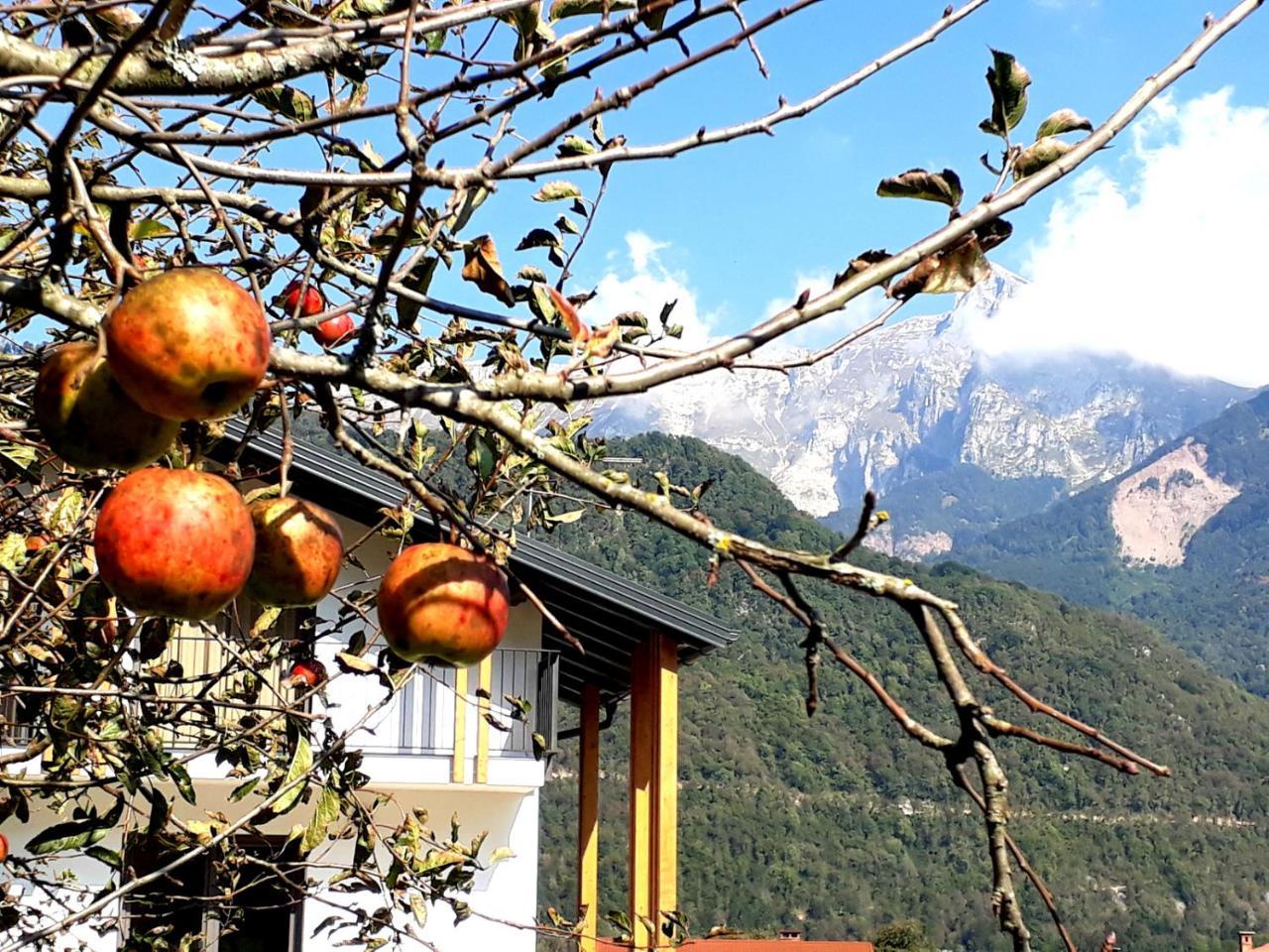 Appartement Alpa